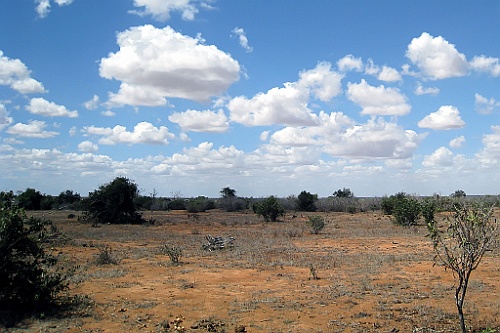 Kenia (286)